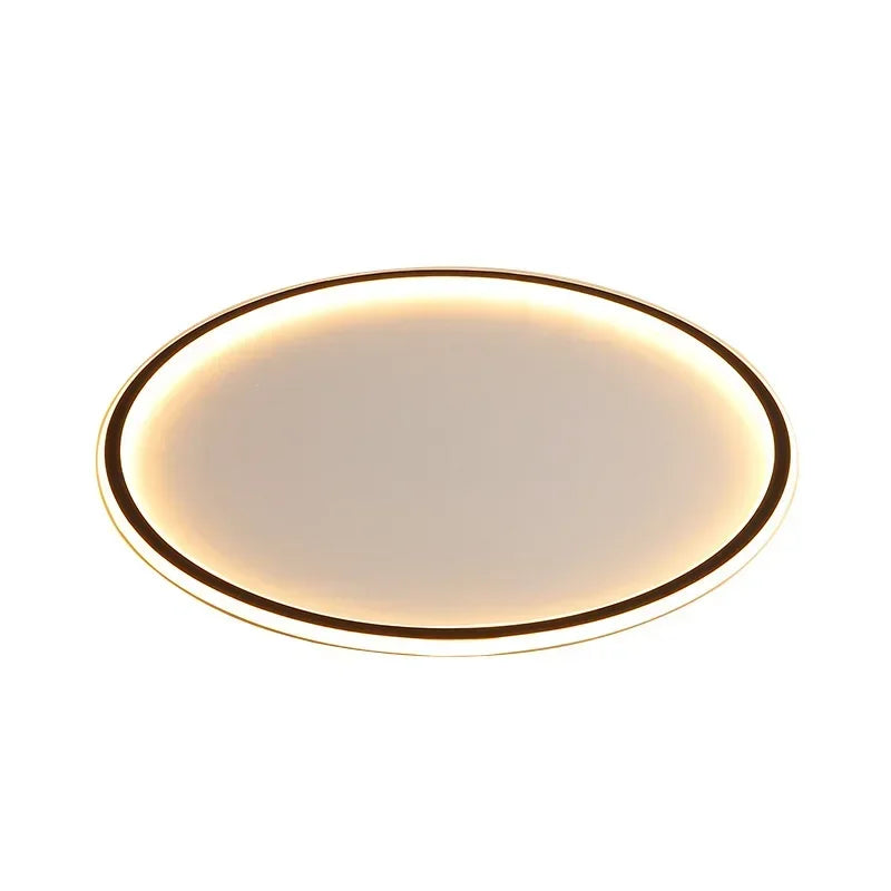 Nordic Minimalist LED Ceiling Light for Bedroom Living Room Aisle Study Room Balcony Circular Remote Control Lighting Chandelier
