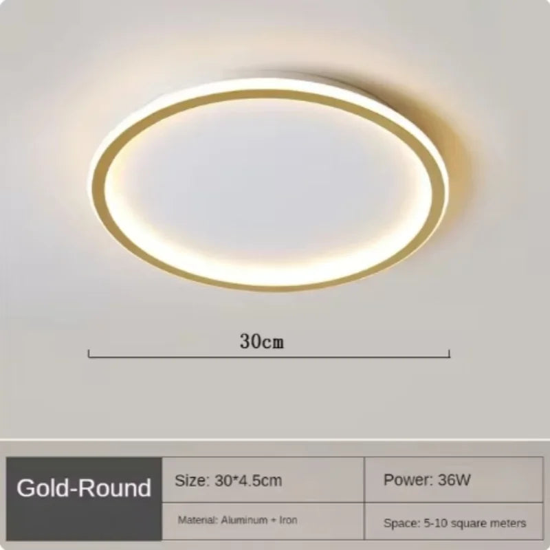 Nordic Minimalist LED Ceiling Light for Bedroom Living Room Aisle Study Room Balcony Circular Remote Control Lighting Chandelier